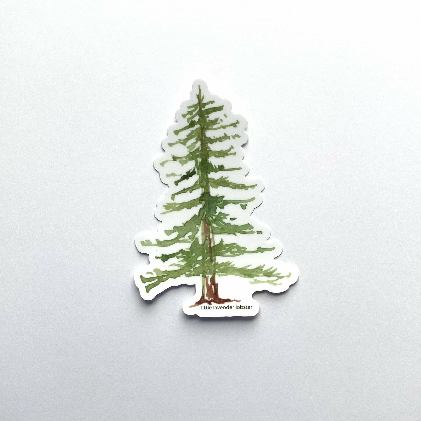 PINE TREE - STICKERS