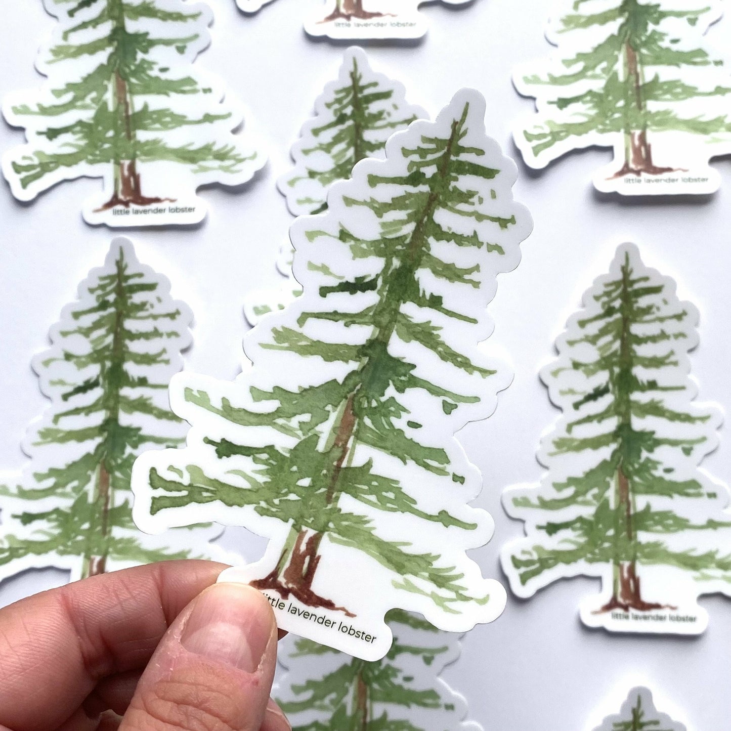 PINE TREE - STICKERS