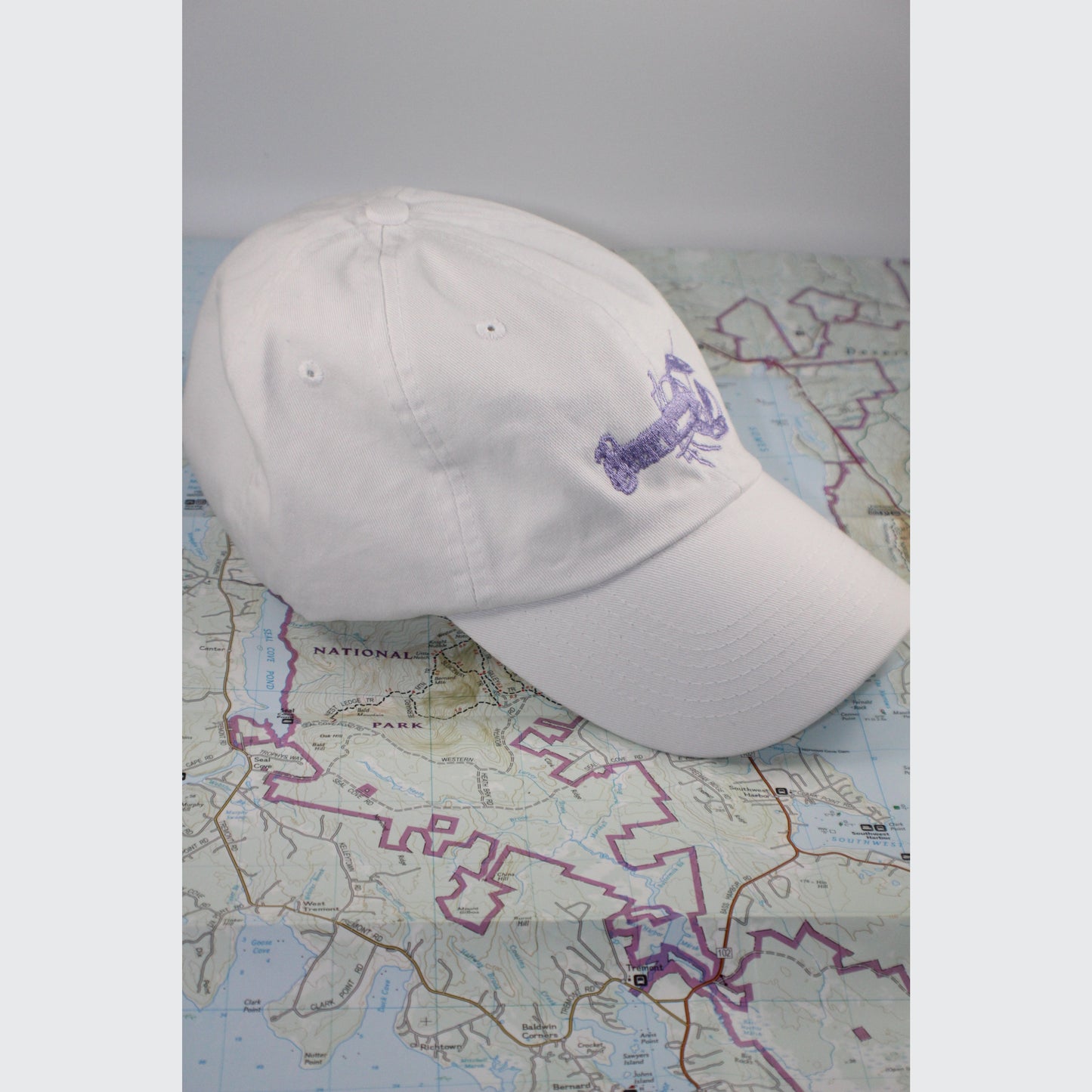 LITTLE LAVENDER LOBSTER - HAT